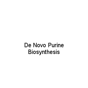 De Novo Purine Biosynthesis